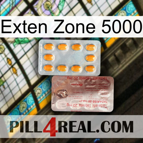 Exten Zone 5000 new13.jpg